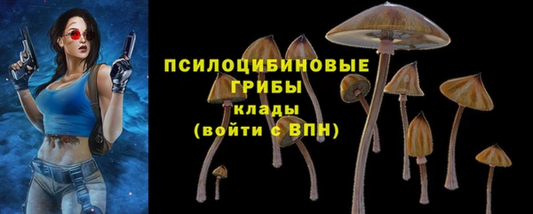 apvp Заволжск