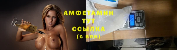 mdpv Ельня