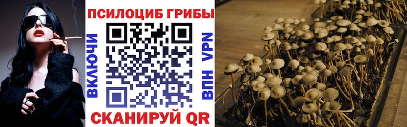 MEGA маркетплейс  даркнет Telegram  Альметьевск  Псилоцибиновые грибы ЛСД  купить закладку 